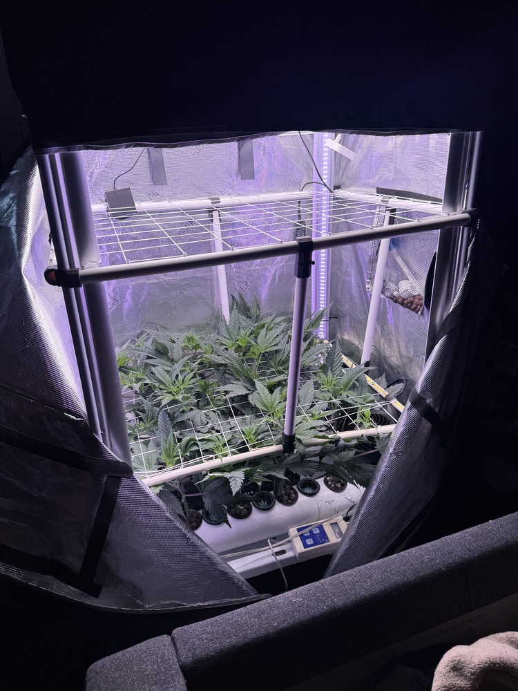 Automating pH: Is it Worth It?